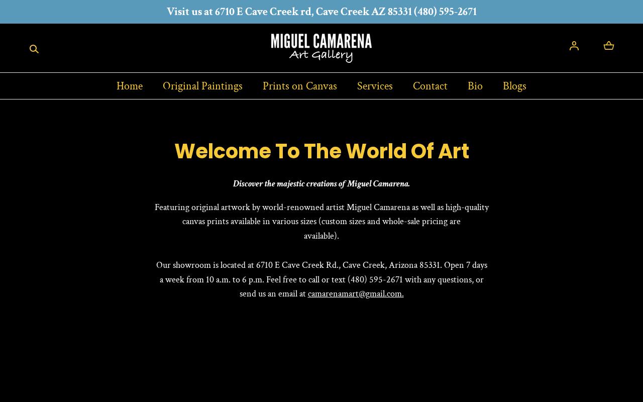 Miguel Camarena website built by Business Hunters